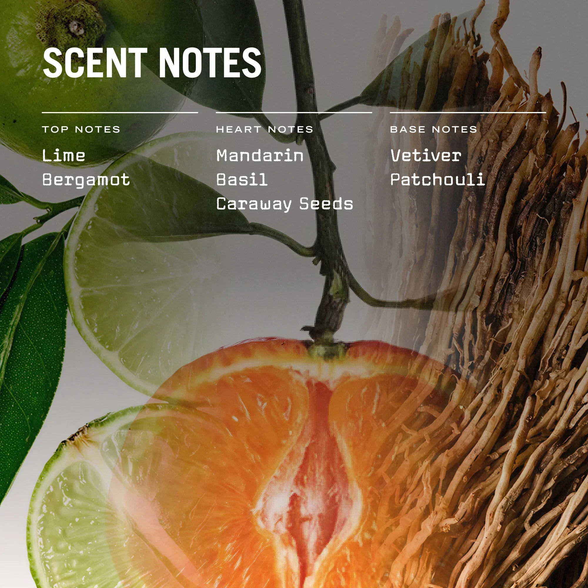 Citrico Scented Candle