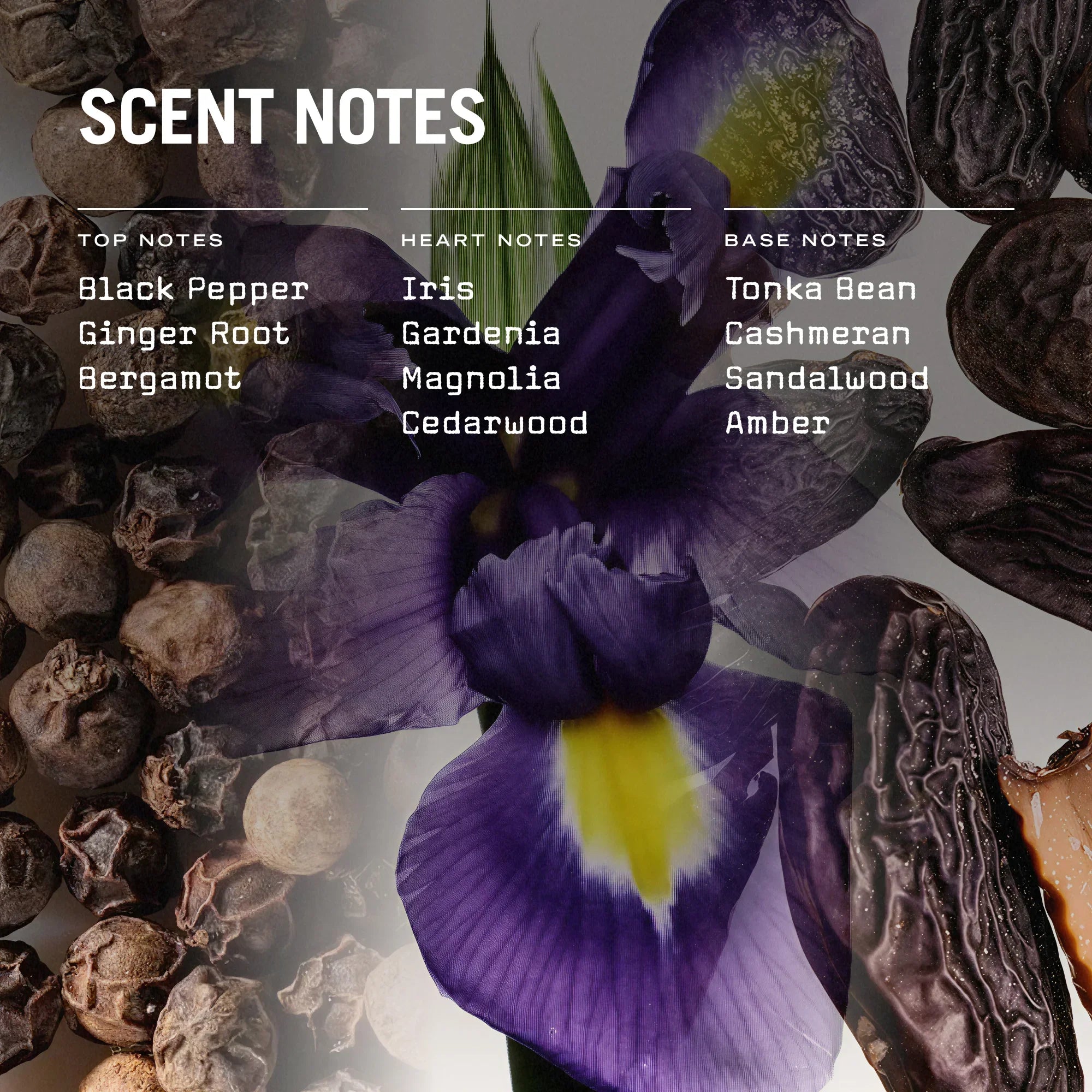 Firenze Leather Scented Candle Refill