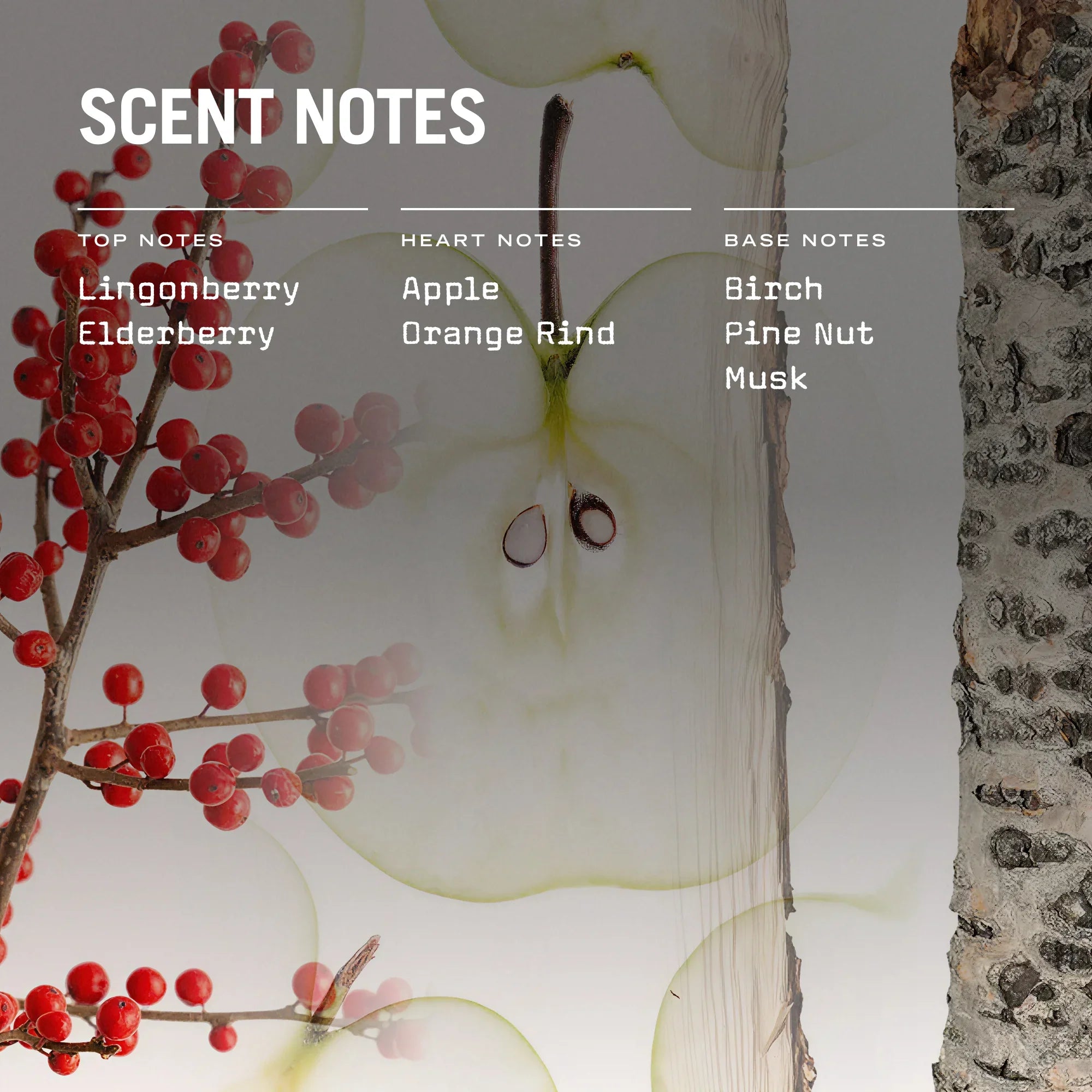 Lingonberry Scented Candle Refill