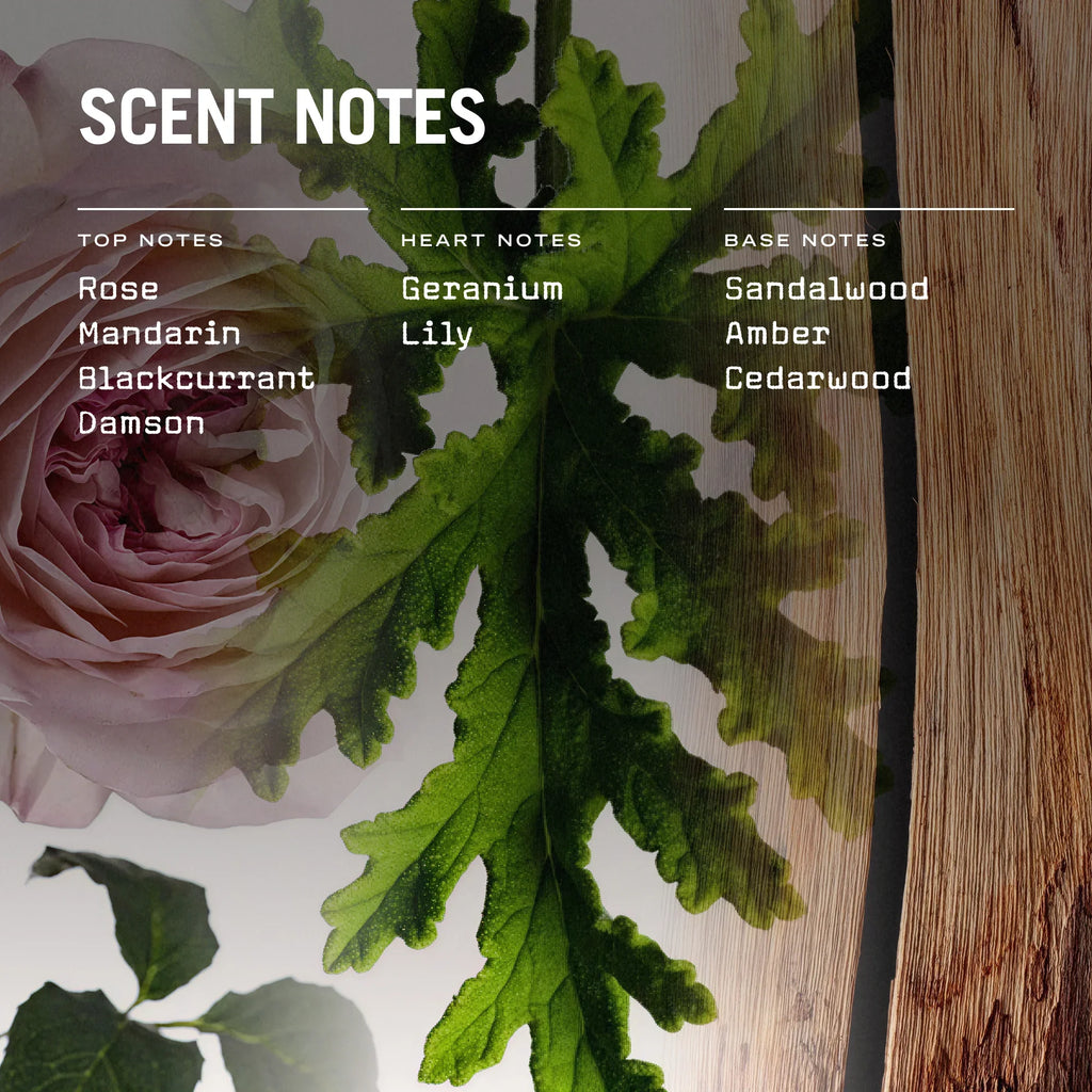 Medina Rose Scented Candle