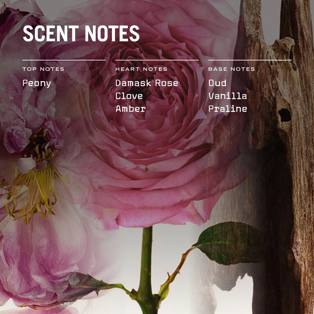 Oud Fortune Reed Diffuser