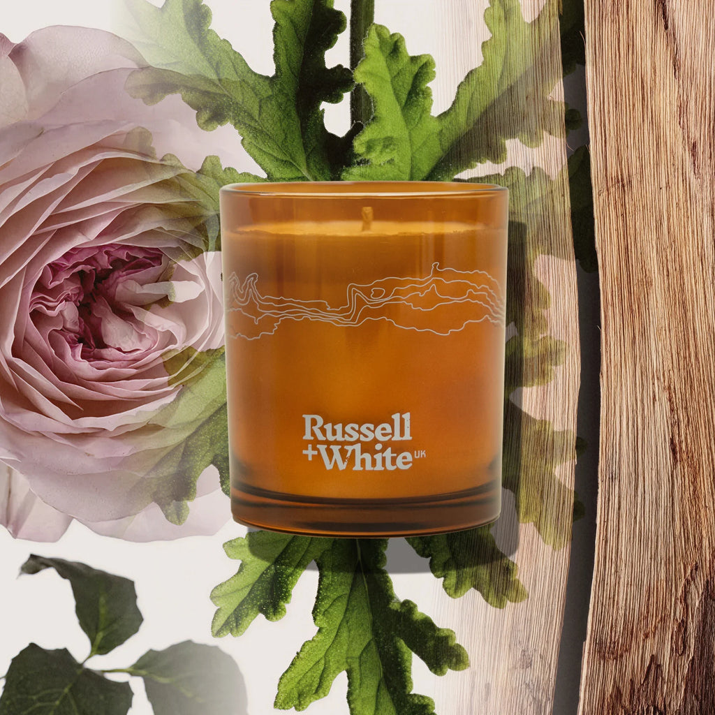 Medina Rose Scented Candle