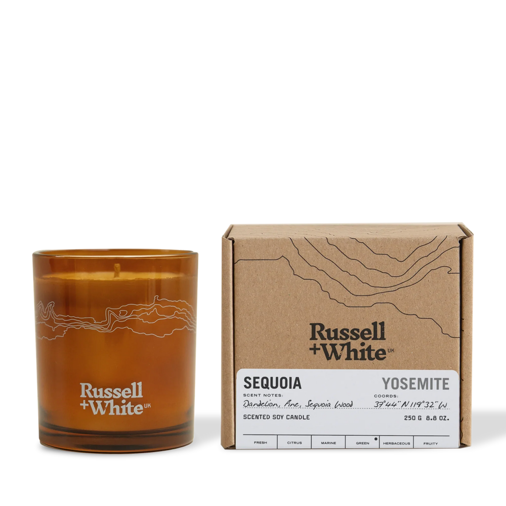 Sequoia Scented Candle