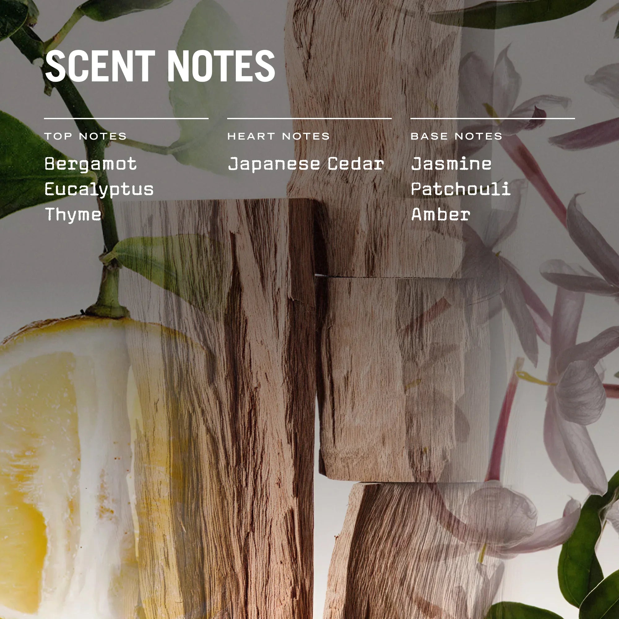 Sugi Reed Diffuser
